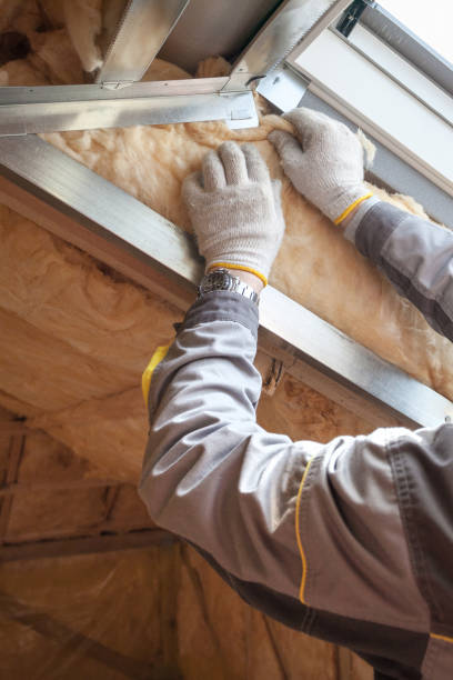 Best Insulation Installation Services in Santa Maria, CA