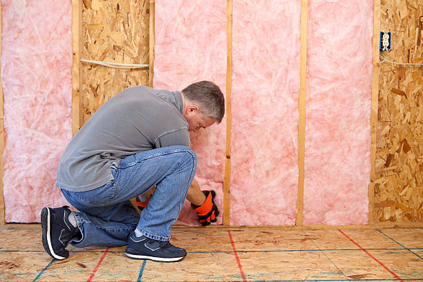 Best Residential Insulation in Santa Maria, CA